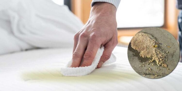 How to Clean Vomit From Mattress in 2023