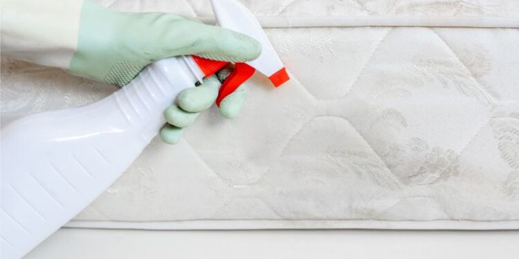 How to Remove Mold or Mildew From a Mattress in 2023?